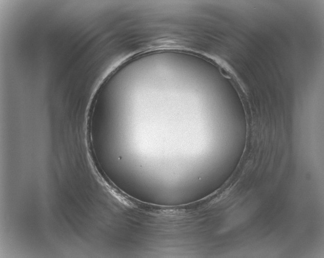 X0000061721333200512161545