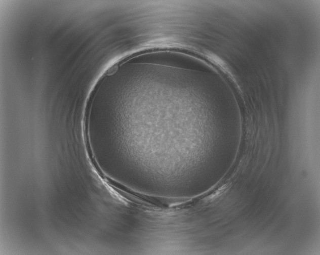 X0000061721334200512161545