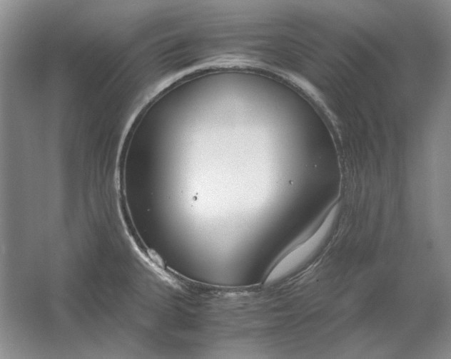 X0000061721335200512161545