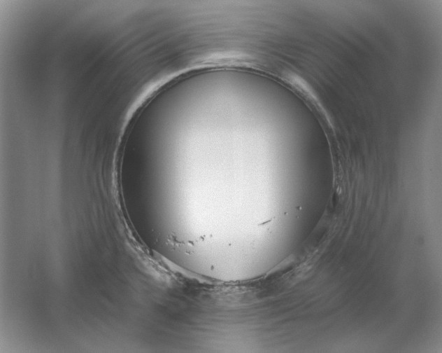 X0000061721336200512161545