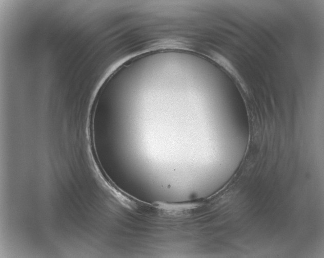 X0000061721339200512161545