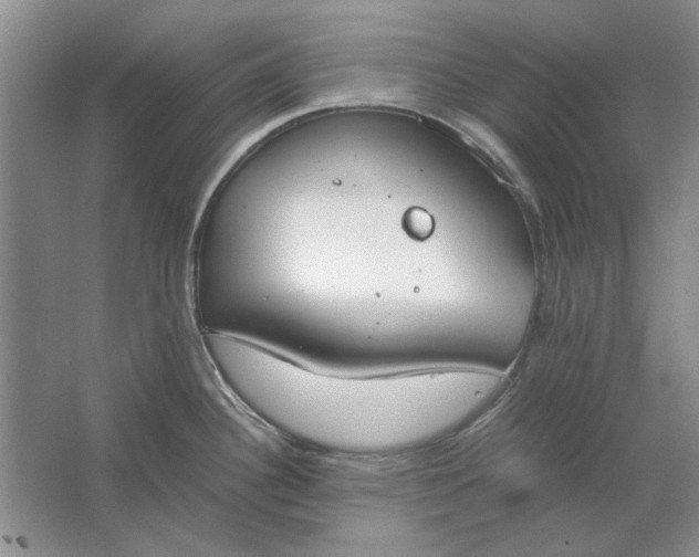 X0000061721340200512161545