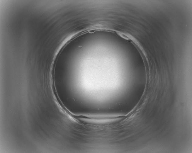 X0000061721341200512161545