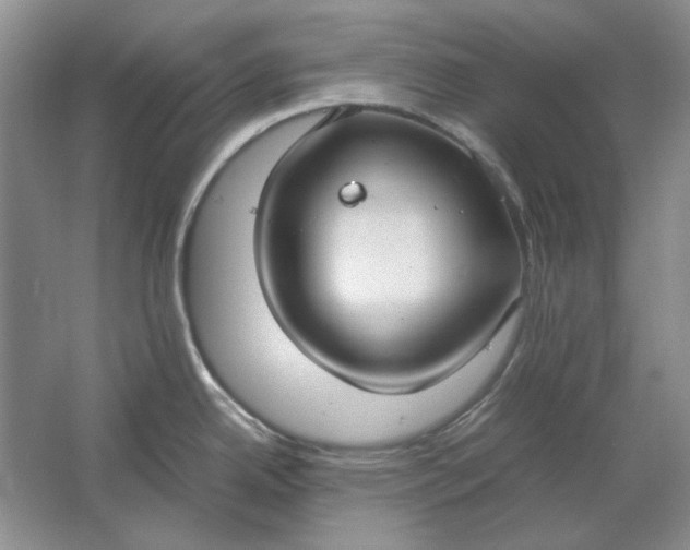 X0000061721342200512161545