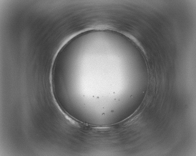 X0000061721343200512161545