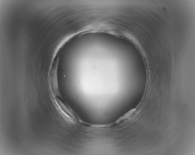 X0000061721344200512161545