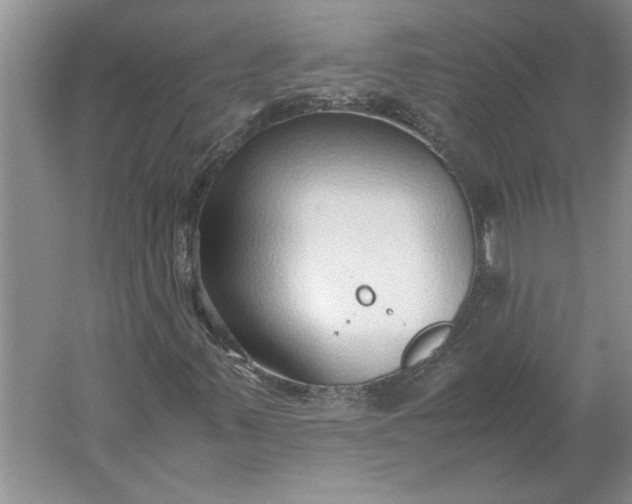 X0000061721347200512161544