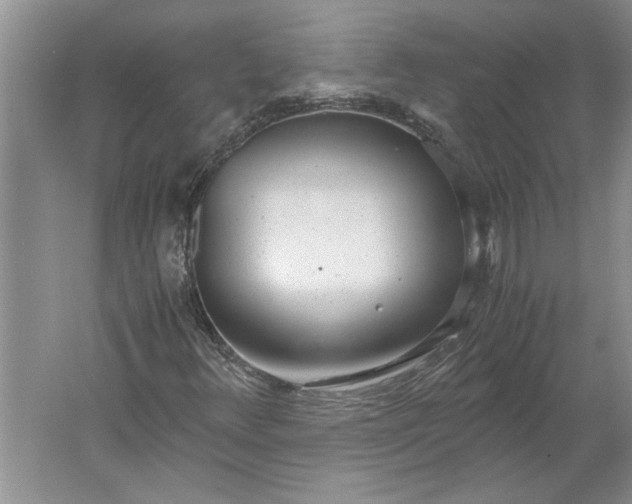 X0000061721348200512161544