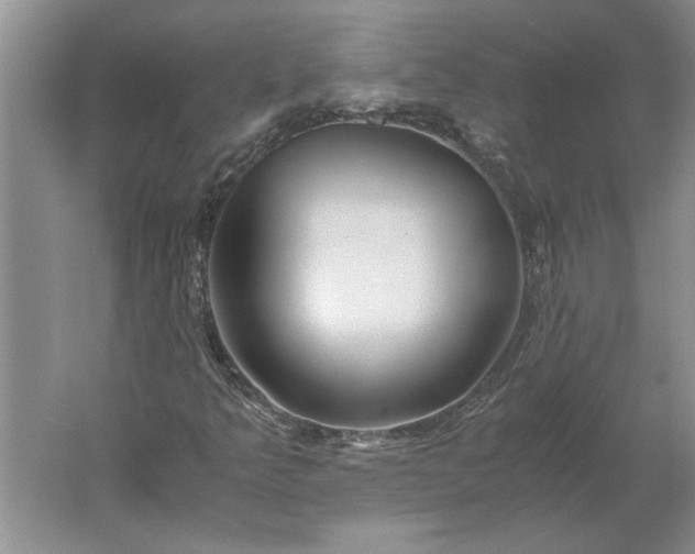 X0000061721349200512161544