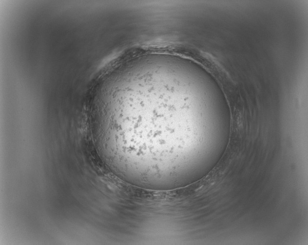 X0000061721350200512161544