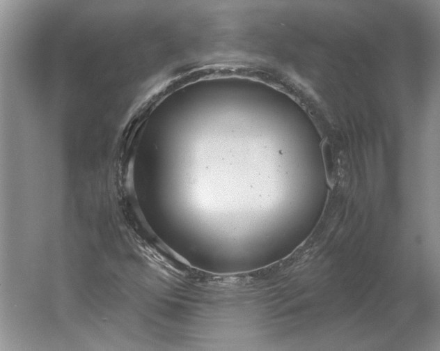 X0000061721352200512161544