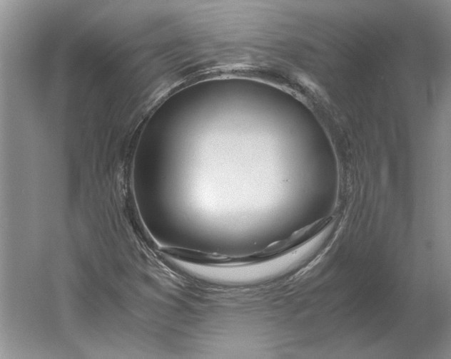 X0000061721353200512161544