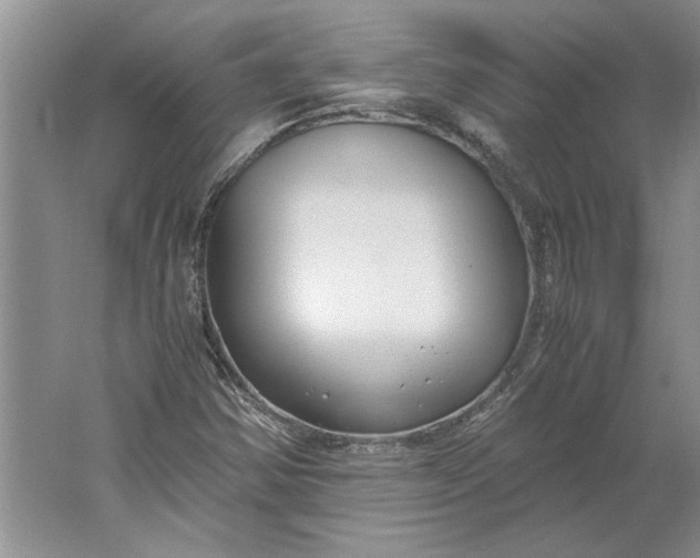 X0000061721354200512161544