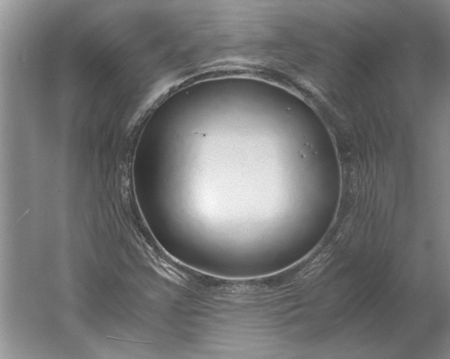 X0000061721355200512161544