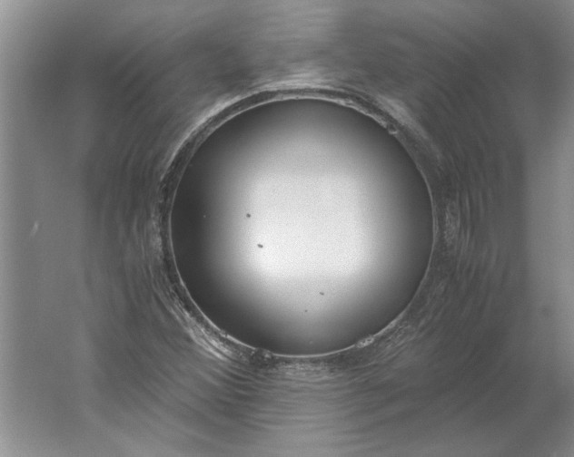 X0000061721356200512161544