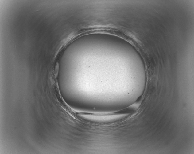 X0000061721357200512161544