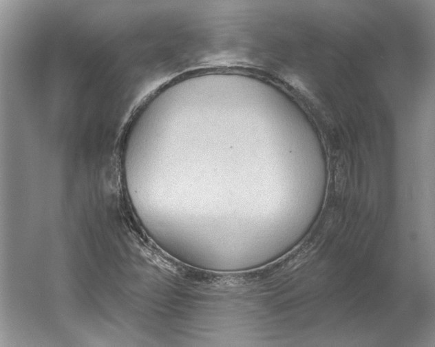 X0000061721358200512161544