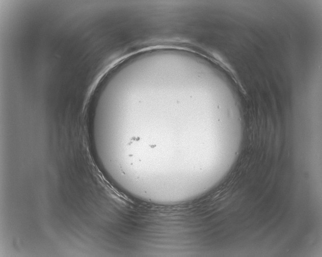 X0000061721360200512161544