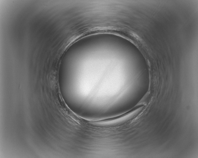 X0000061721361200512161544