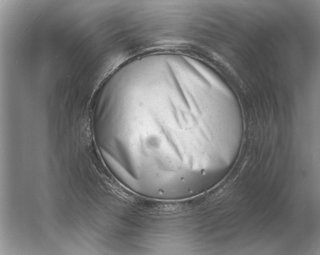 X0000061721362200512161544