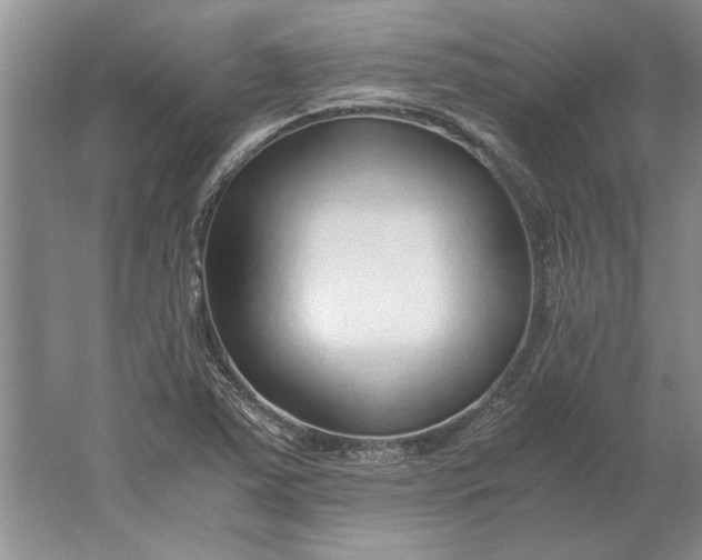 X0000061721363200512161544