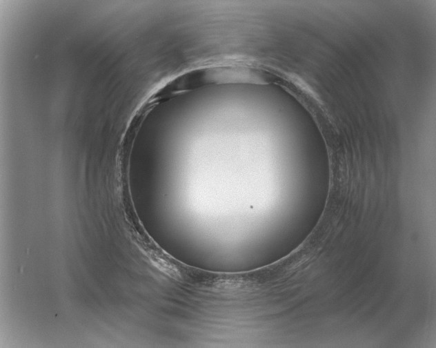 X0000061721364200512161544