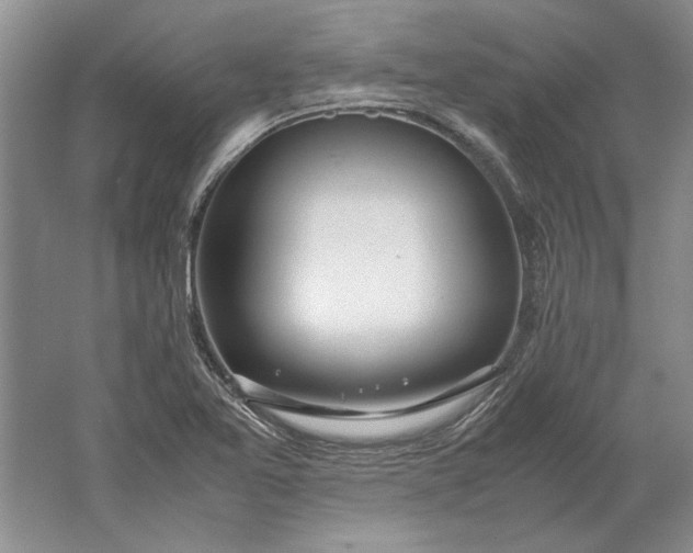 X0000061721365200512161544