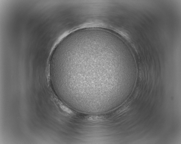 X0000061721366200512161544