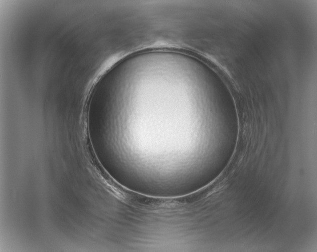 X0000061721367200512161544