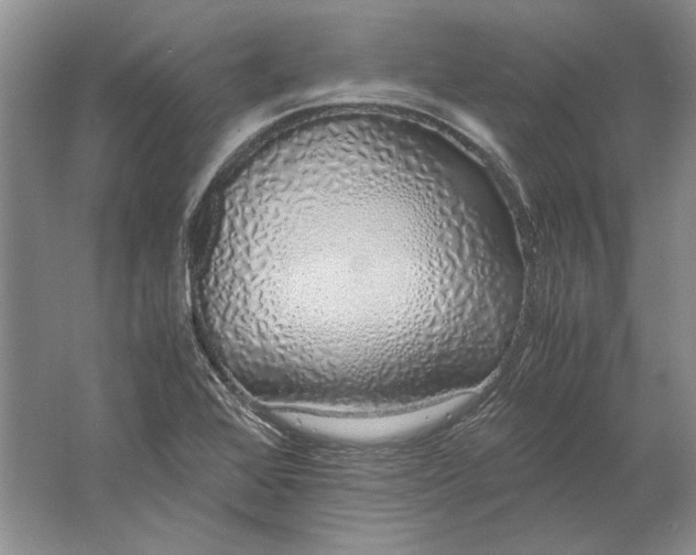 X0000061721368200512161544