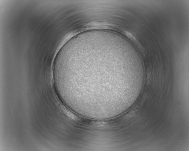 X0000061721370200512161544