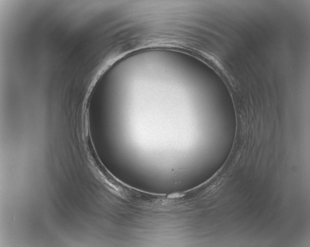 X0000061721371200512161544