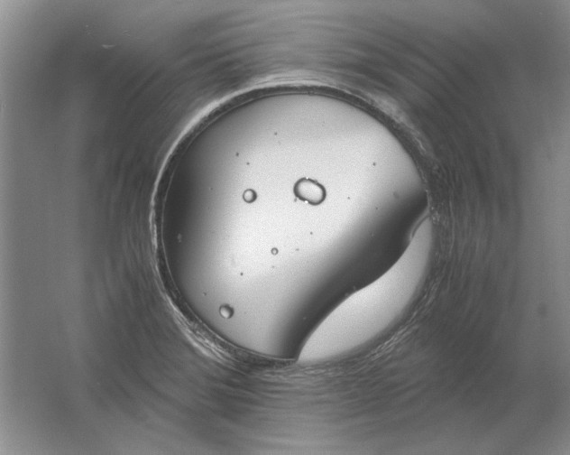 X0000061721372200512161544