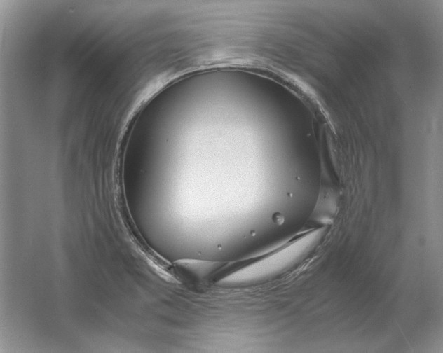 X0000061721373200512161544