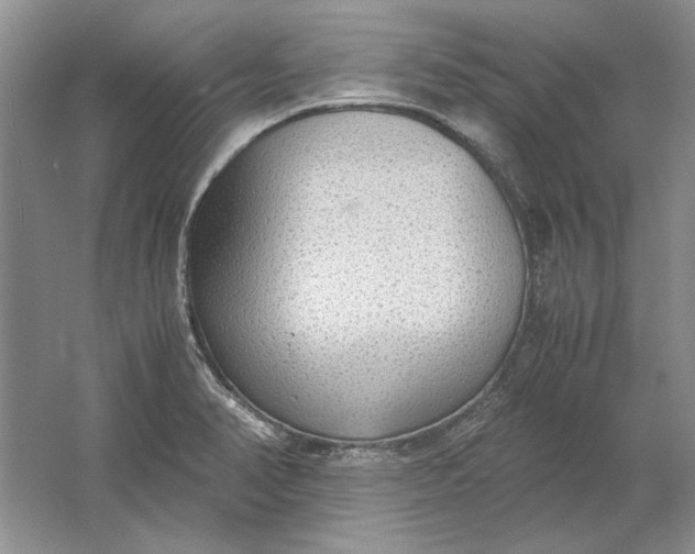 X0000061721374200512161544