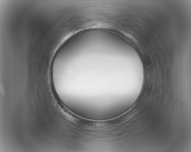 X0000061721375200512161544