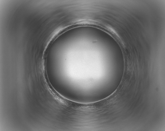 X0000061721376200512161544