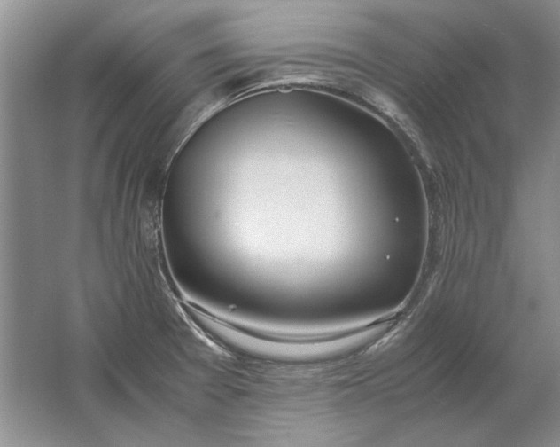 X0000061721377200512161544