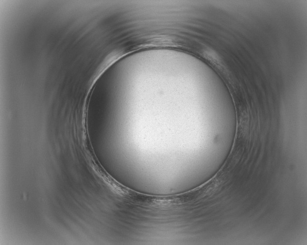 X0000061721378200512161544