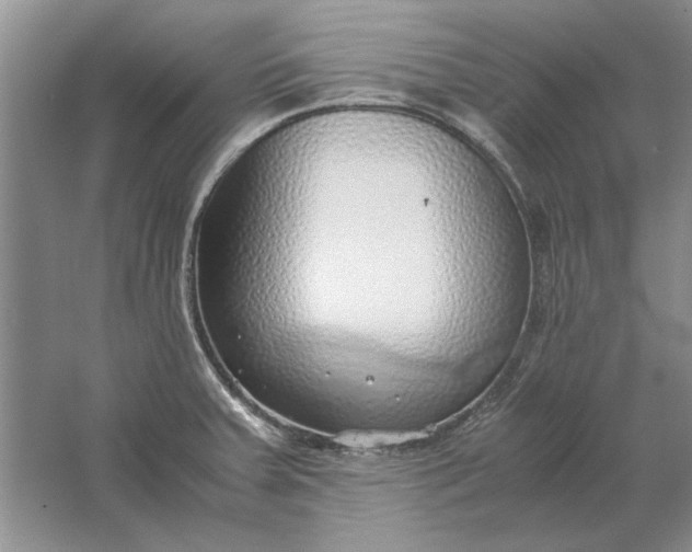 X0000061721379200512161544