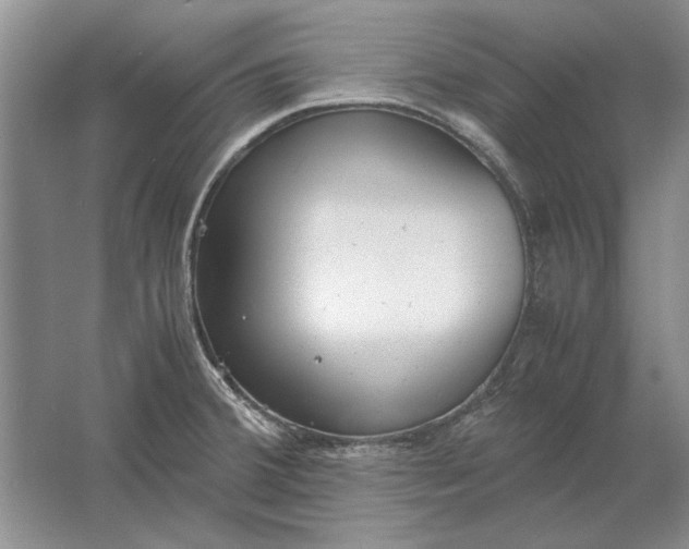 X0000061721380200512161544