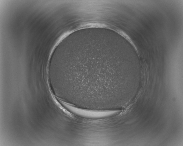 X0000061721381200512161544