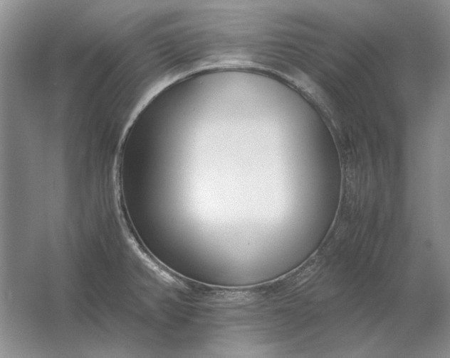 X0000061721382200512161544