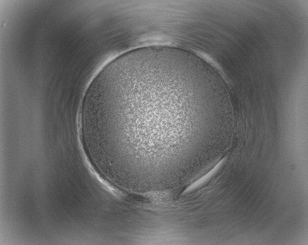 X0000061721383200512161544