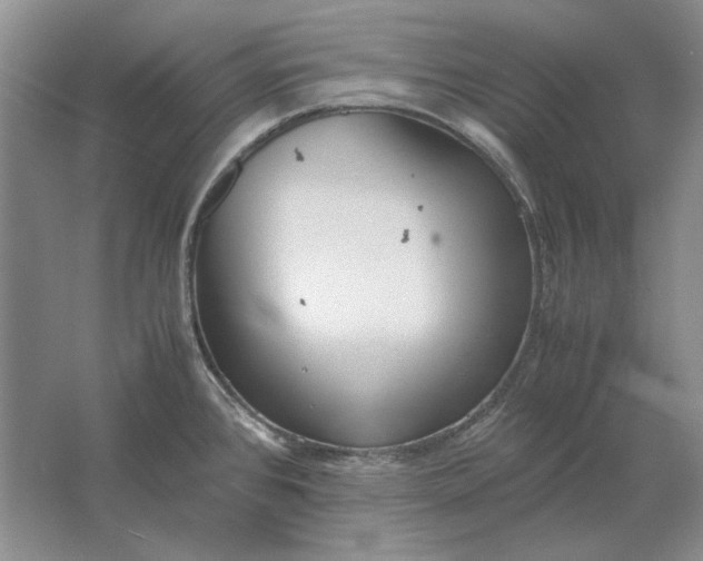 X0000061721384200512161544