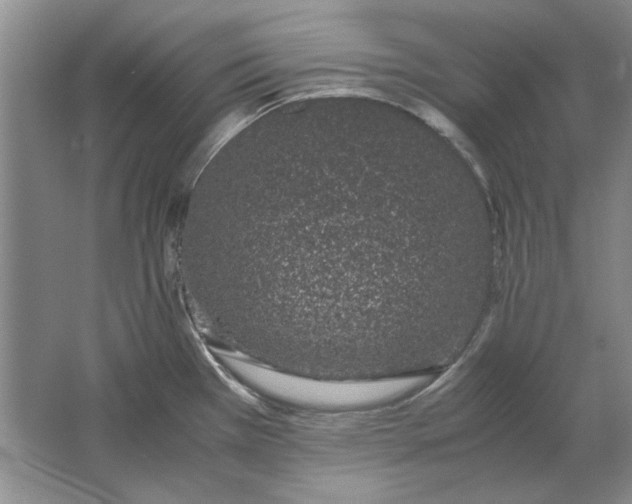 X0000061721385200512161544