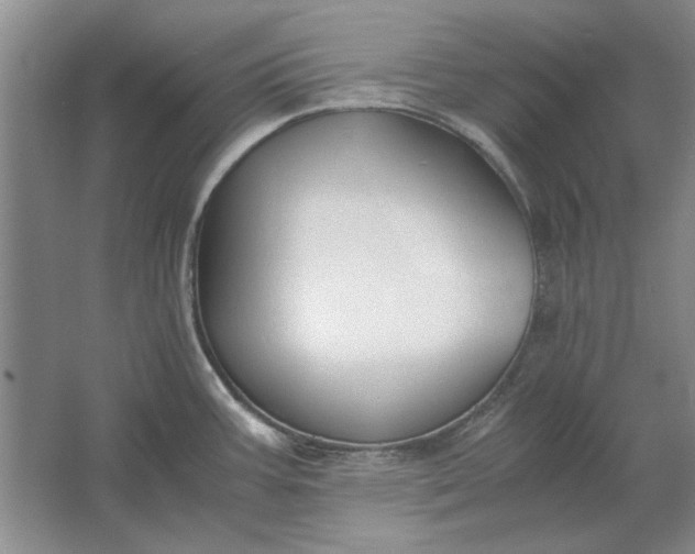 X0000061721387200512161543