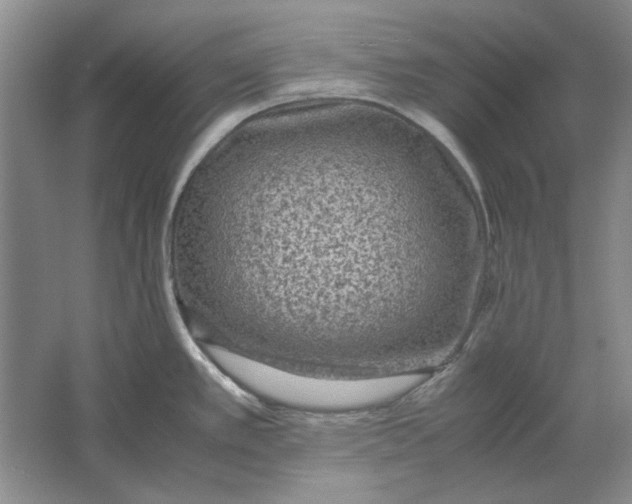 X0000061721389200512161543