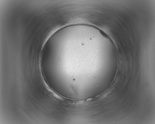 X0000061721390200512161543