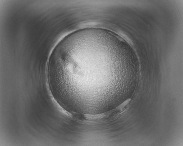 X0000061721392200512161543